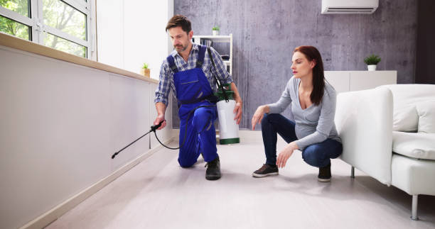 Best Indoor Pest Control  in South Russell, OH